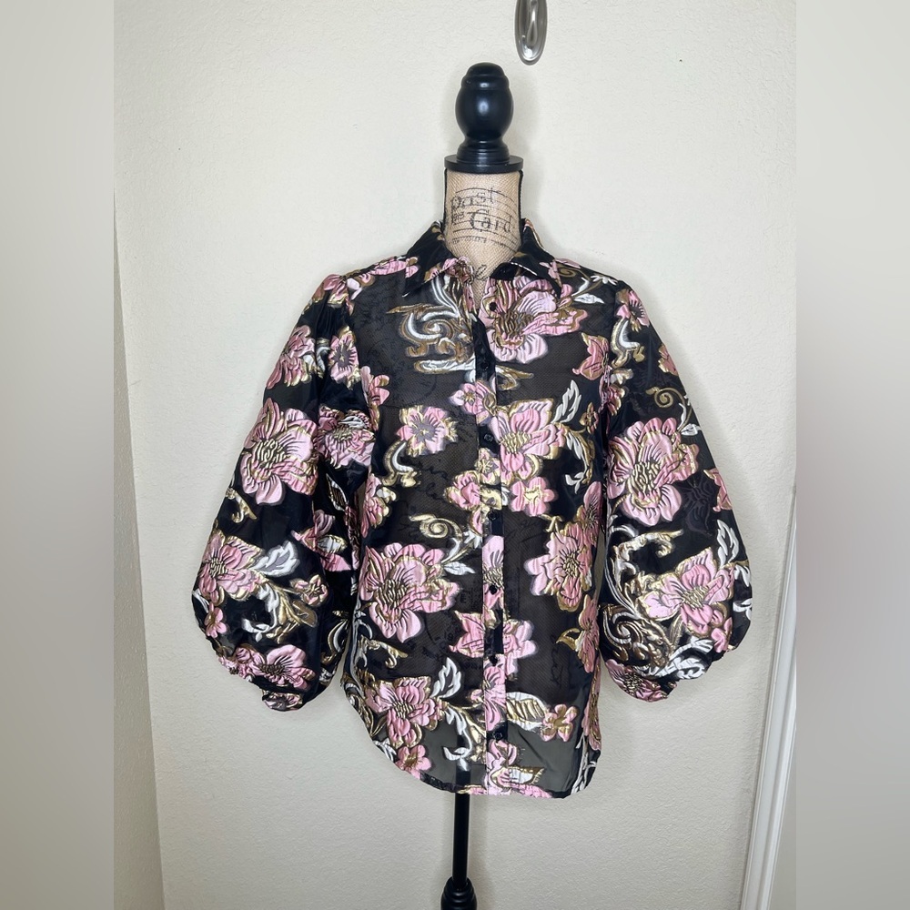 Boston Proper Organza Foil Burnout Floral Balloon Sleeve Sheer Blouse M